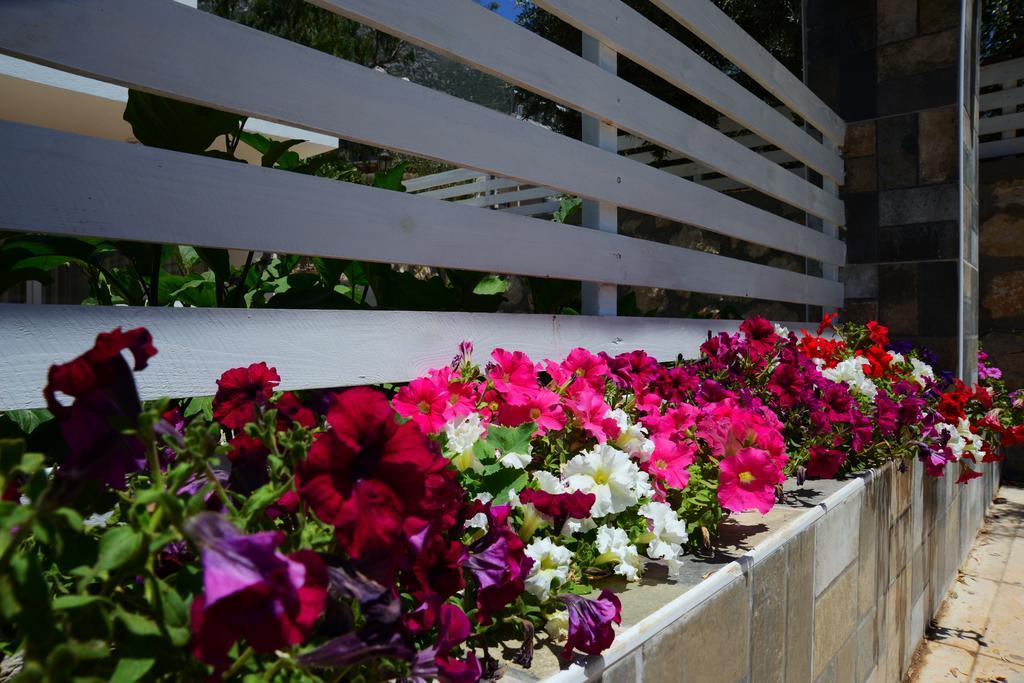 Neruda Hotel Kalkan Dış mekan fotoğraf